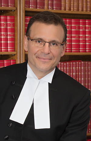 Official photo of the honourable Leo Housakos