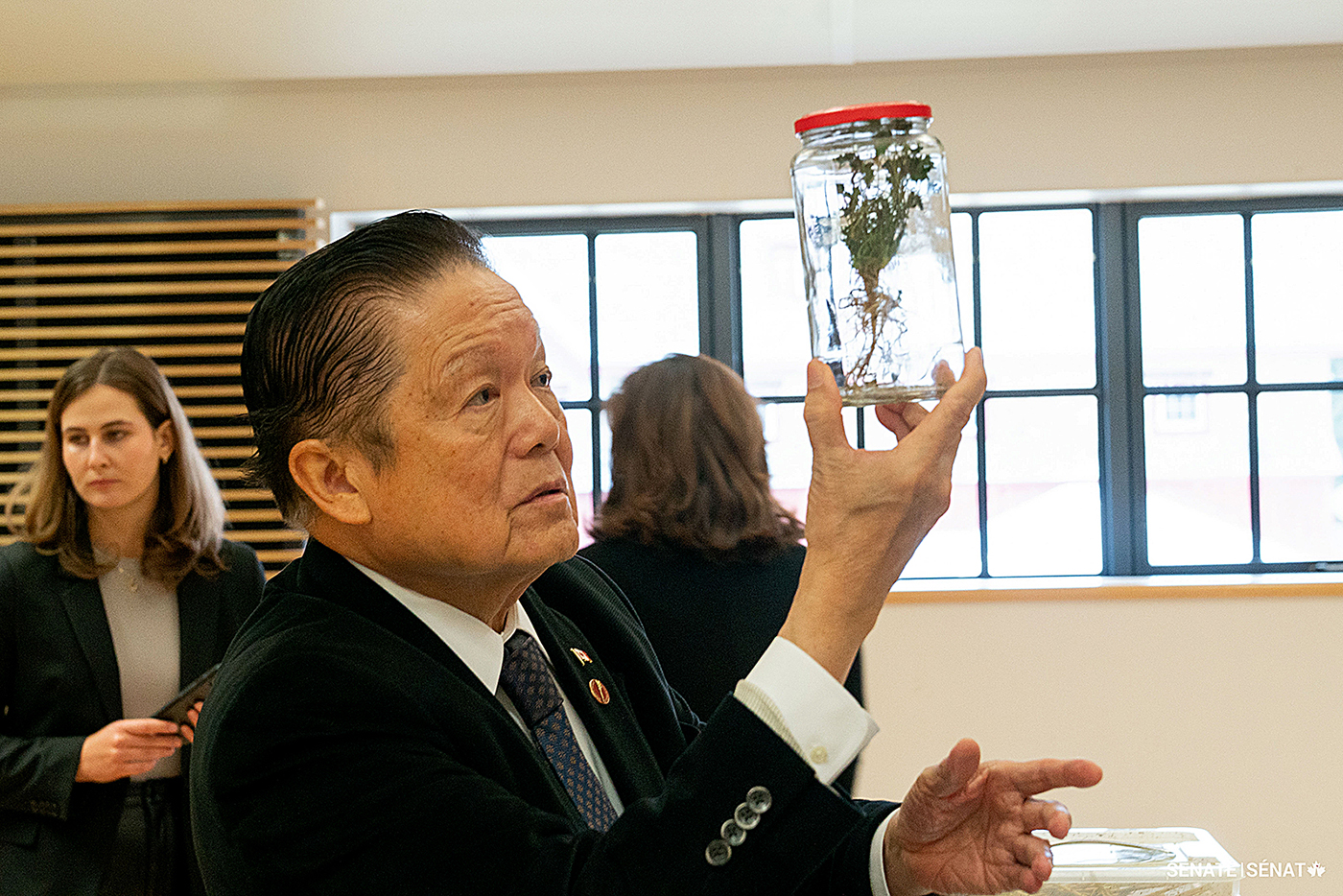 Le sénateur Victor Oh examine de plus près les racines d’une plante au Musée canadien de l’alimentation et de l’agriculture.