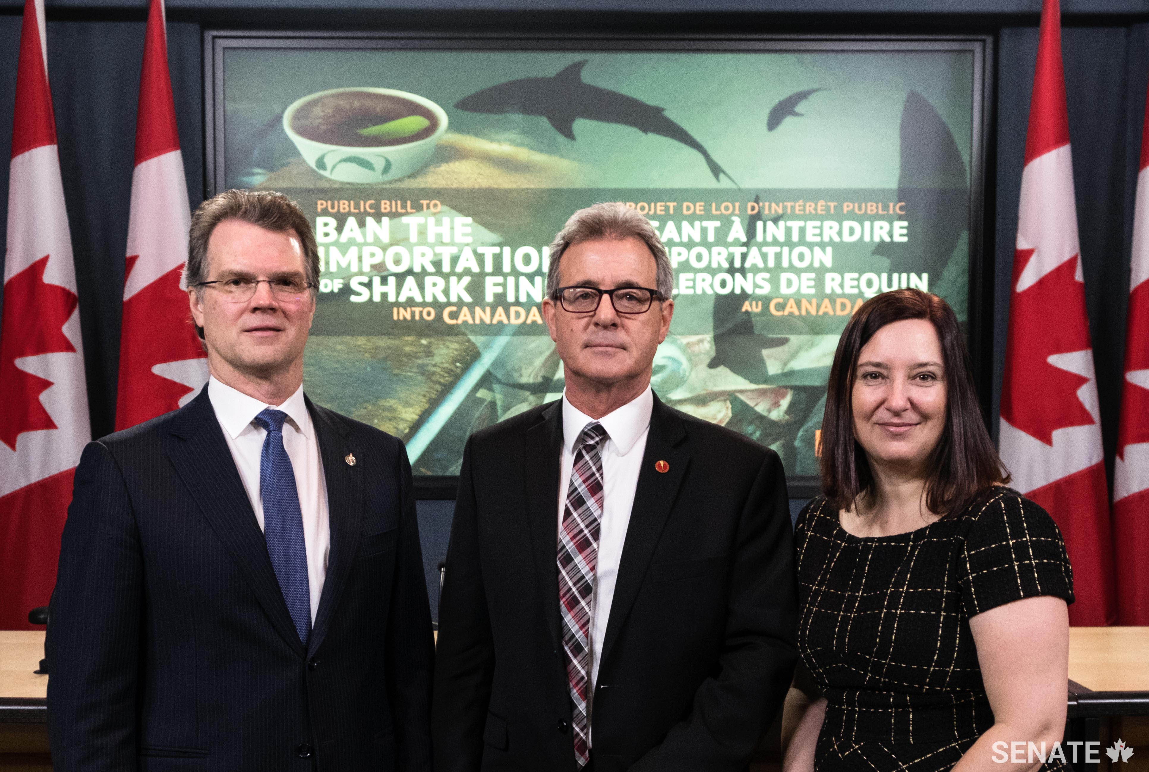 MP Fin Donnelly, Senator Michael L. MacDonald and Kim Elmslie, Campaign Director at Oceana Canada want to ensure that Canada is taking a leading role in ending the inhumane and wasteful practice of shark finning.