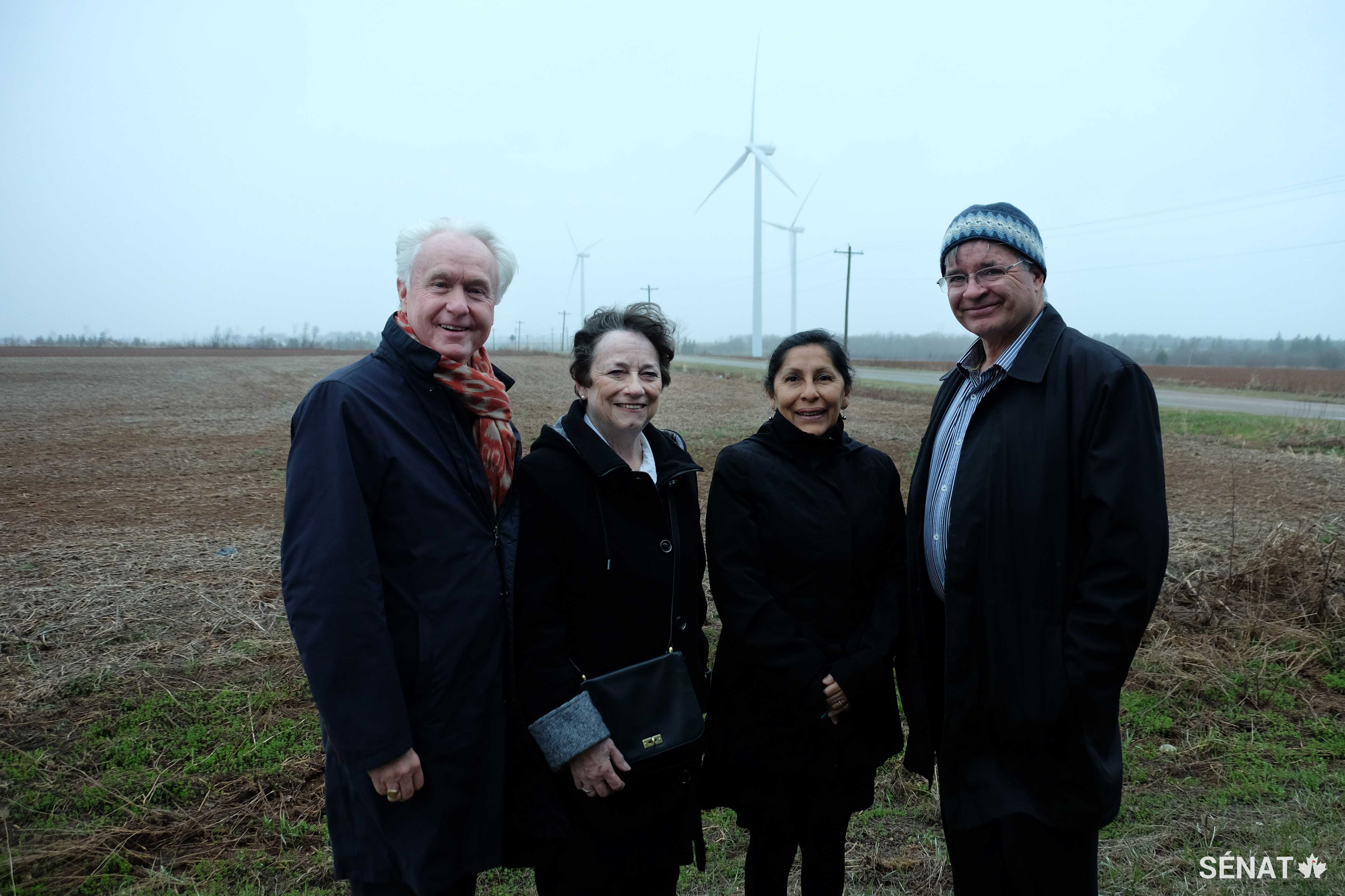 Les sénateurs Douglas Black, Diane Griffin, Rosa Galvez et Dennis Patterson s’informent sur le parc éolien de Summerside, à l’Île-du-Prince-Édouard.