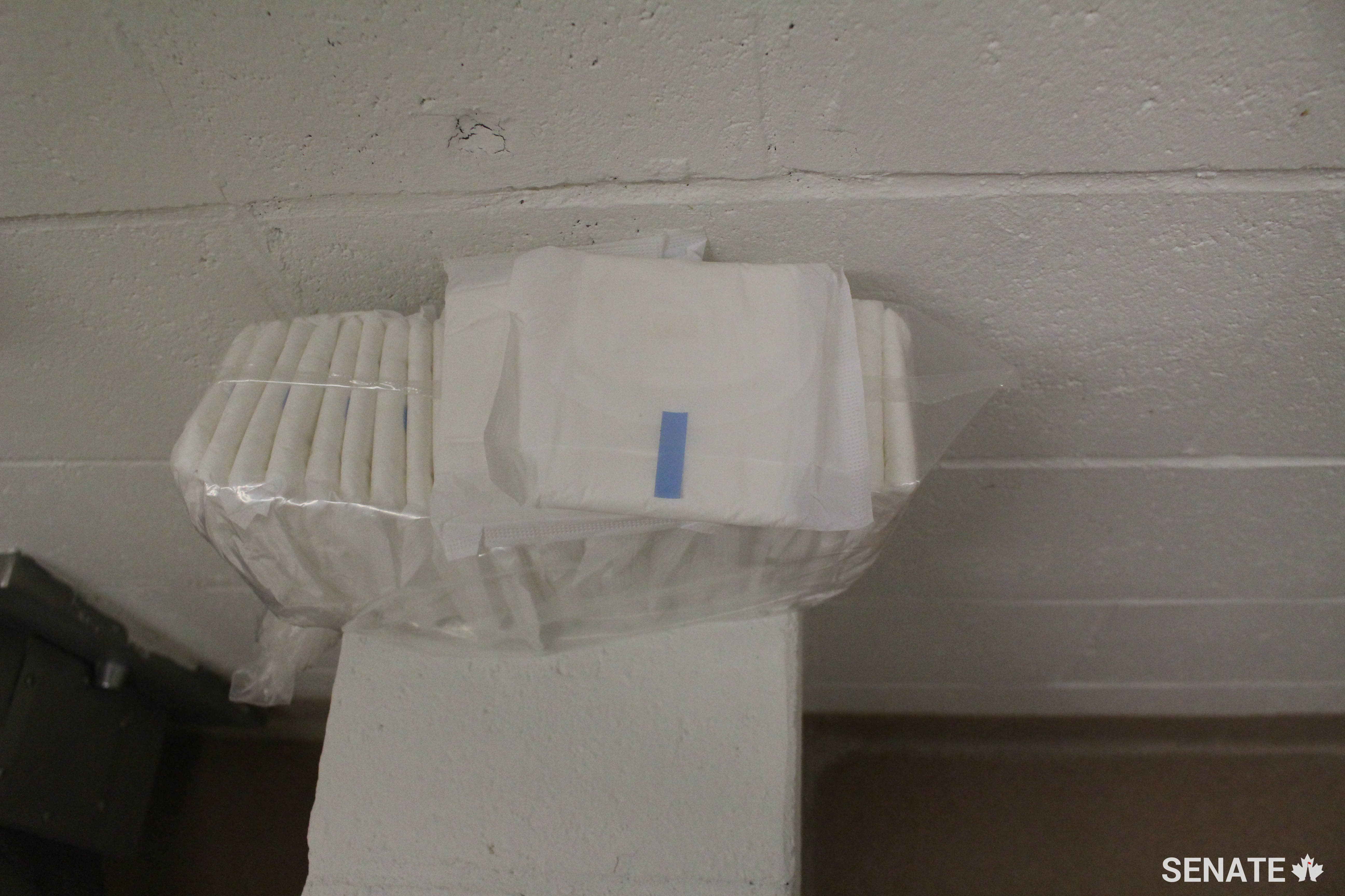 Prisoners at Joliette Institution are only given one kind of sanitary pad; anything else must be purchased.