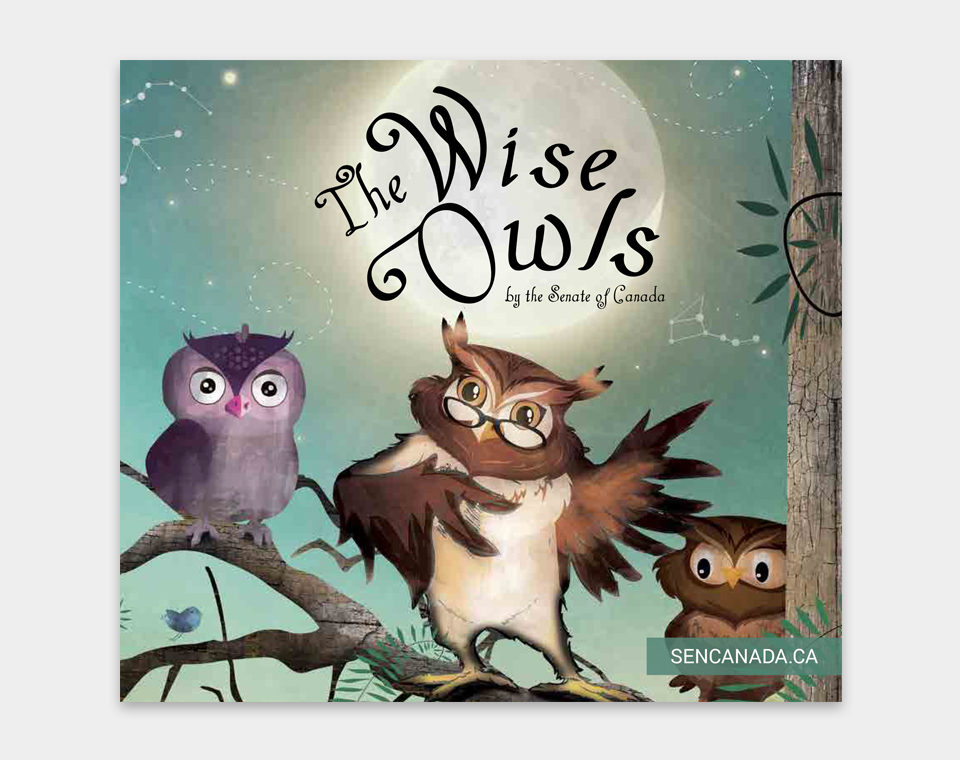 The Wise Owls book cover