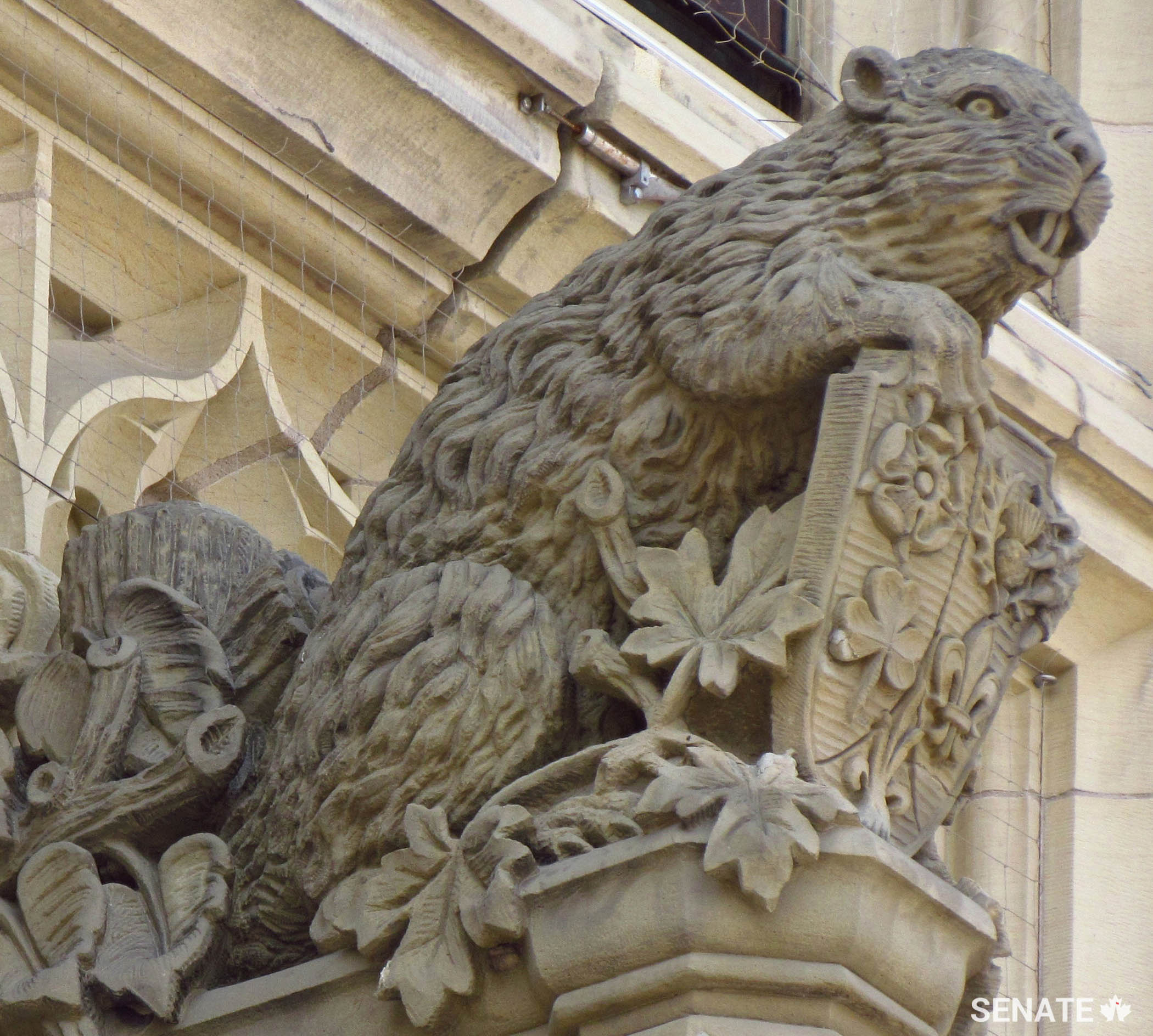 A shield-bearing beaver stands sentinel over the Peace Tower entranceway. The original design for the sculpture created a storm of controversy when it was unveiled in 1937.
