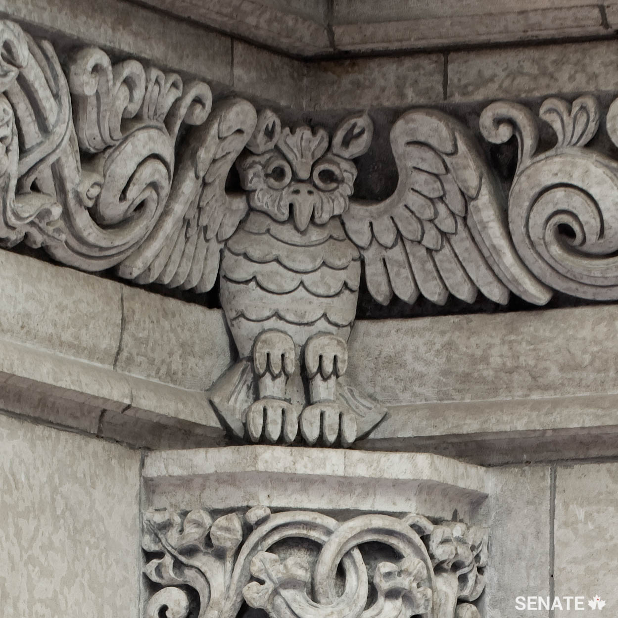 One of four owls that stand at the corners of the ceiling frieze in the Senate foyer.