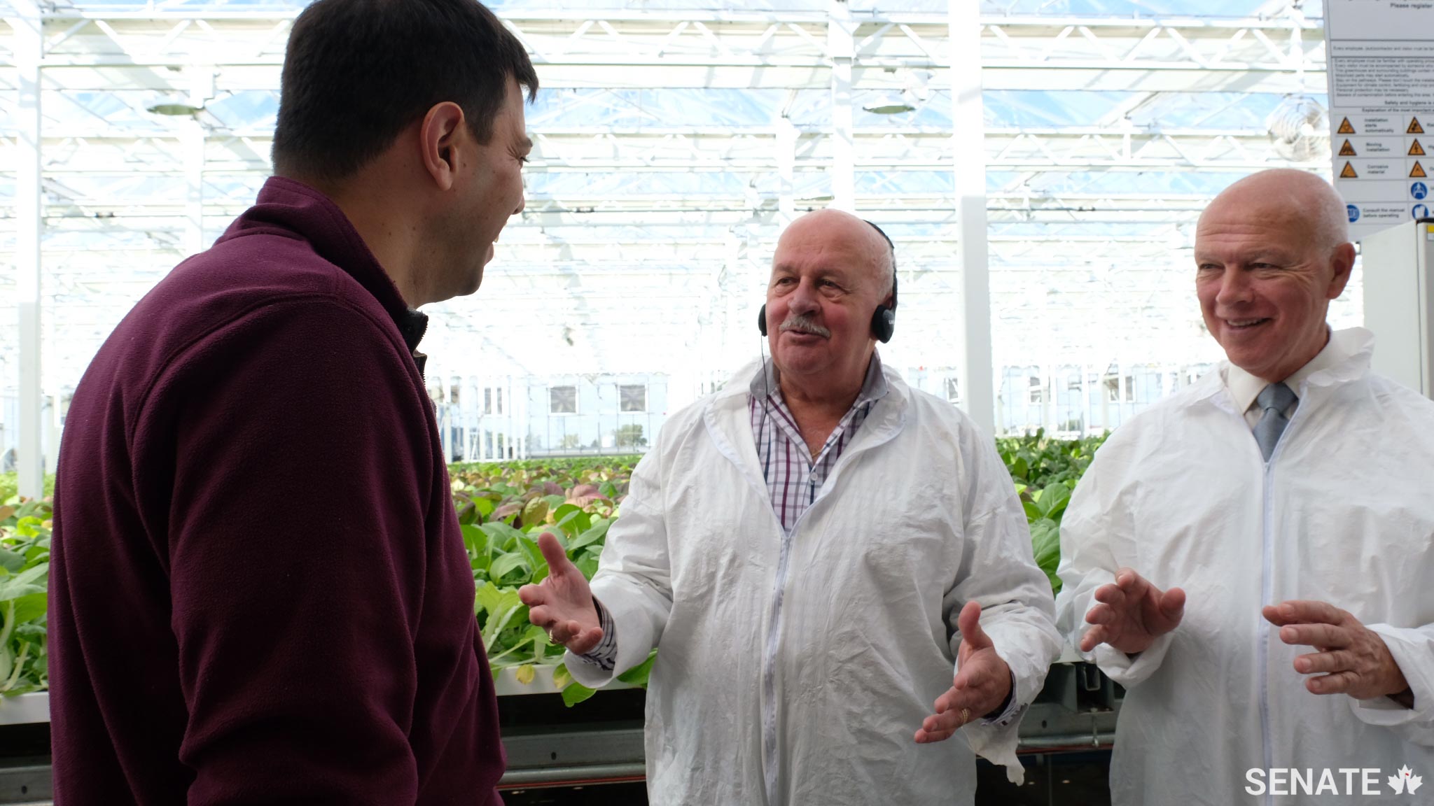 Senators Terry Mercer, centre, and Jean-Guy Dagenais, right, visit Lufa Farms, a greenhouse on Montreal Island that allows farmers to grow vegetables in an urban environment, reducing transportation requirements. In addition, the use of rooftops for growing food takes advantage of space that would otherwise be lost.
