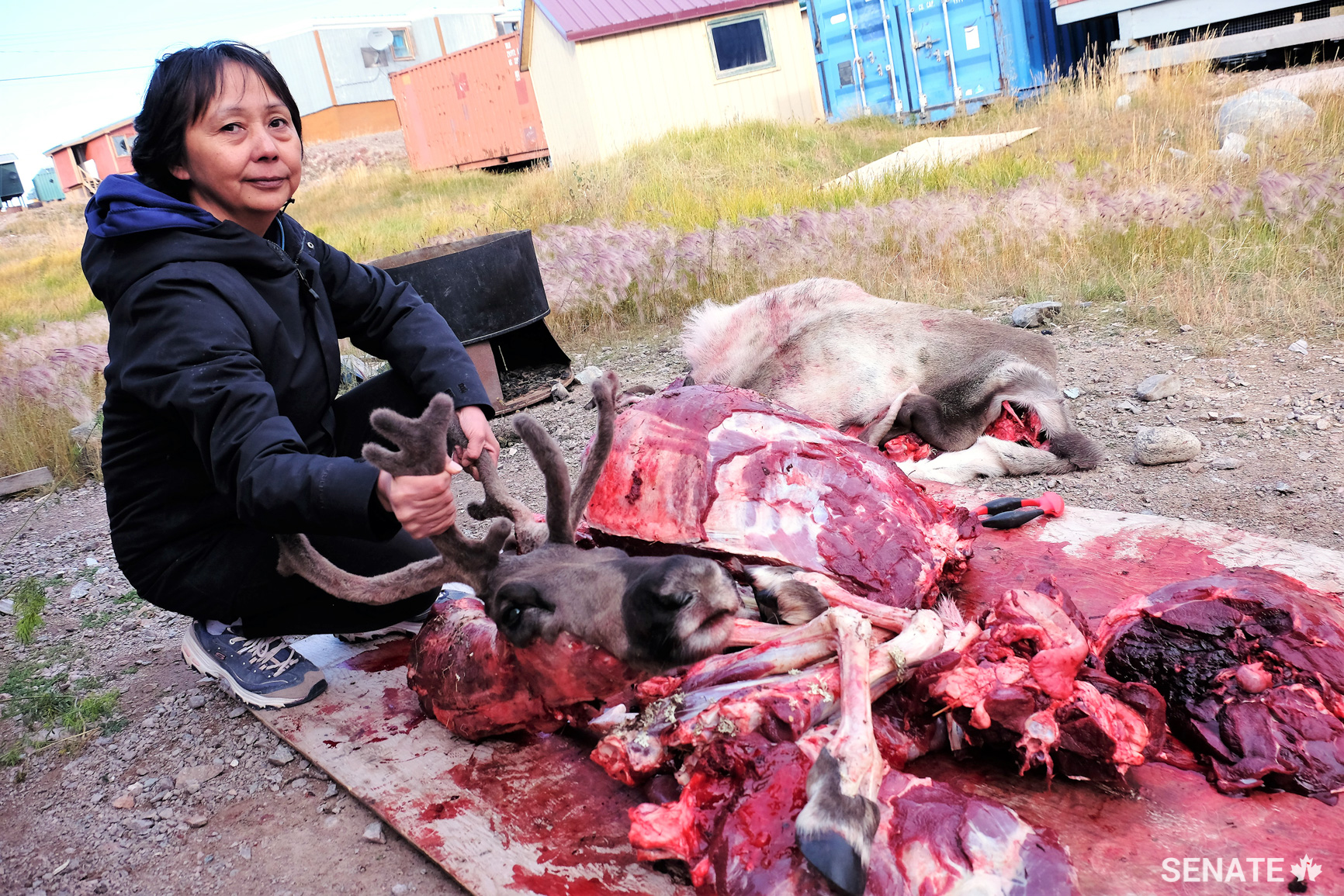 Suzanne Niuqtuq sits outside her home in Baker Lake, Nunavut, after returning from a successful caribou hunt with her family. Caribou is a common type of country food in Baker Lake and is often shared with the community. The meat from this caribou will last the family about two months, Ms. Niuqtuq said. Food insecurity came up several times during the Arctic committee’s discussions with northerners.