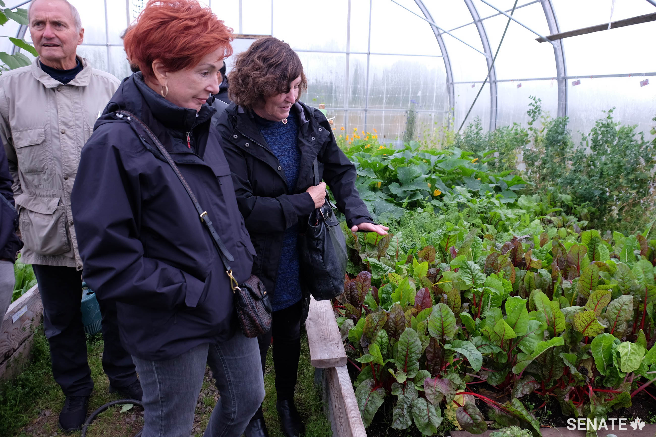 Senators Joseph Day, Nicole Eaton and Mary Coyle tour a greenhouse in Kuujjuaq, Quebec, during the Special Senate Committee on the Arctic’s fact-finding mission in northern Canada in September 2018.