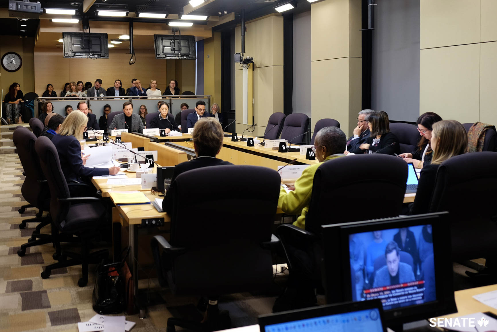 Senators from the Committee on Human Rights listen to witness testimony on Canada’s international and national human rights obligations during a committee meeting on December 5, 2018.