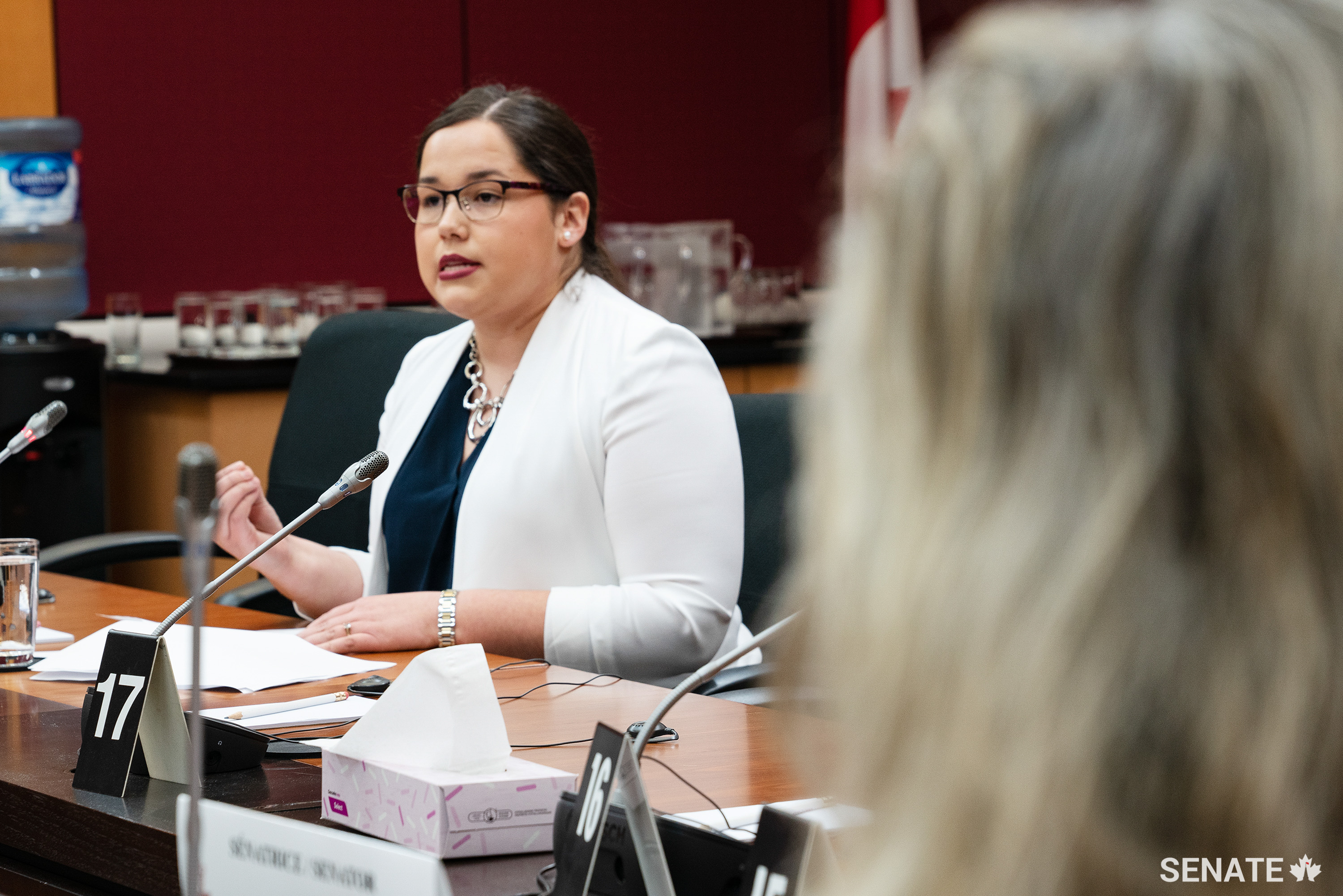 Karlee Johnson, 23, testifies before the Senate Committee on Aboriginal Peoples on June 5, 2019. Karlee lives in the Eskasoni First Nation in Nova Scotia where she volunteers for a special needs support group and the Eskasoni Mi’kmaq Language Initiative.