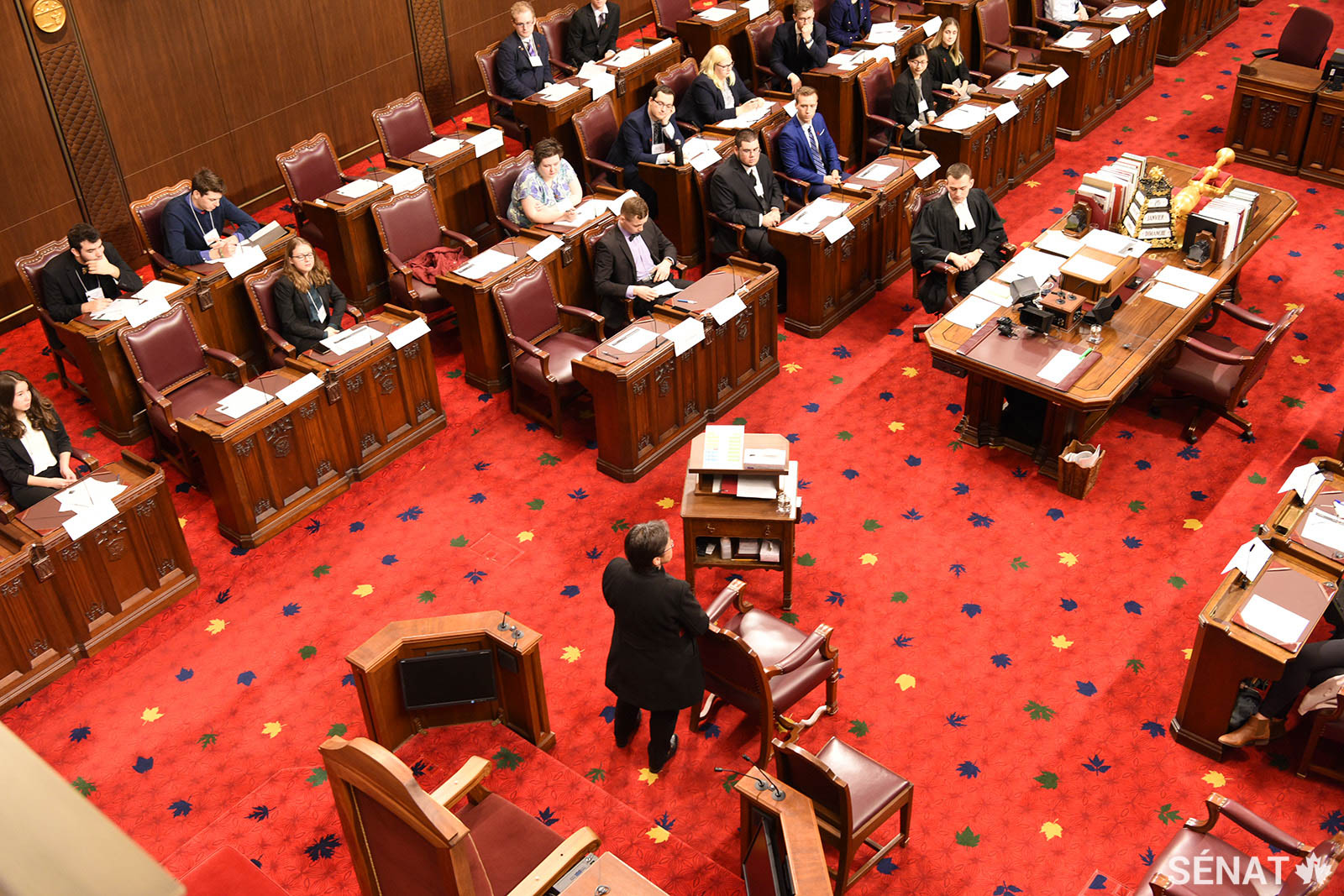 La sénatrice Kim Pate s’adresse aux participants de la simulation du Sénat le dimanche 26 janvier 2020.