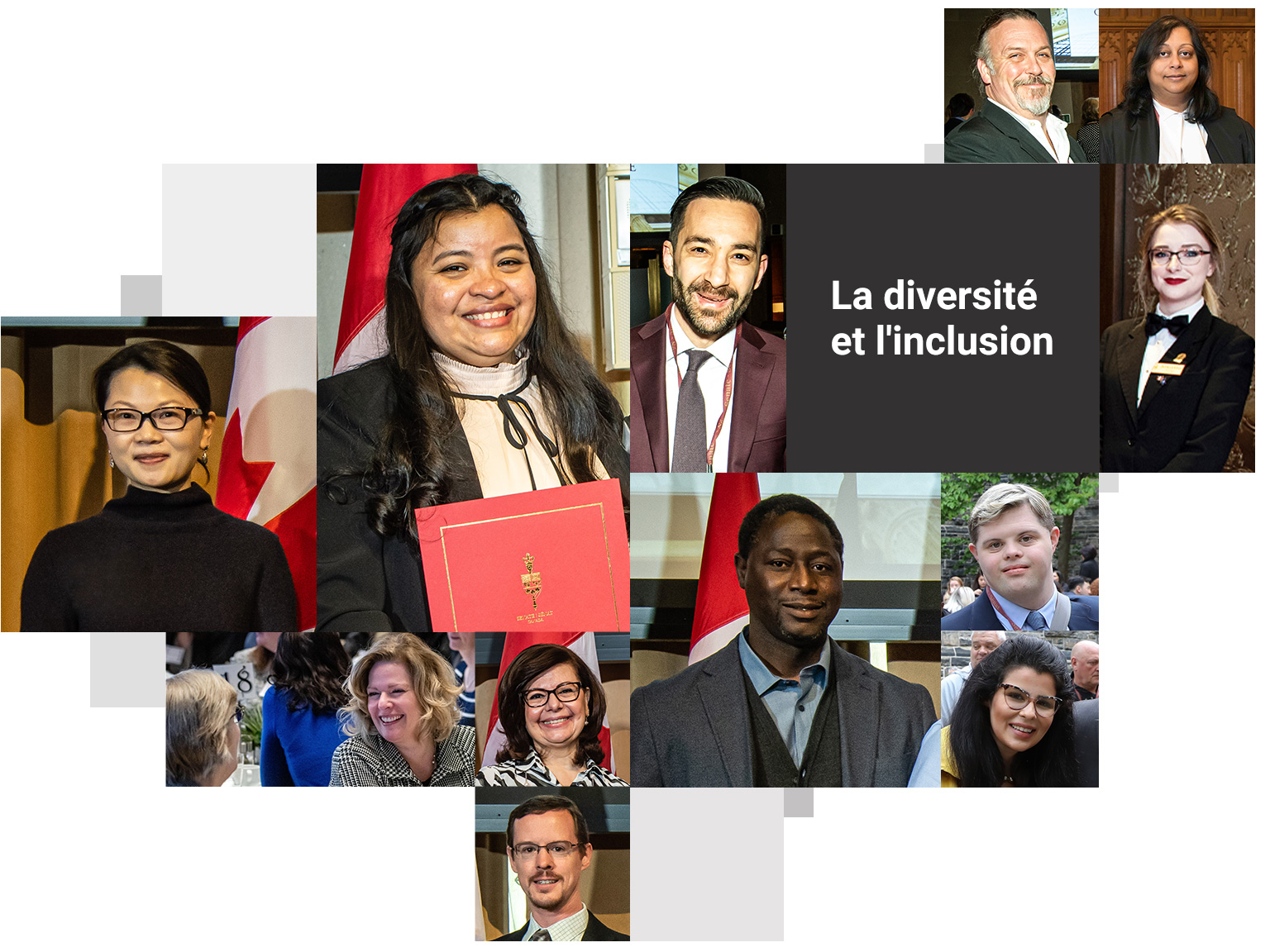 La diversité et l'inclusion