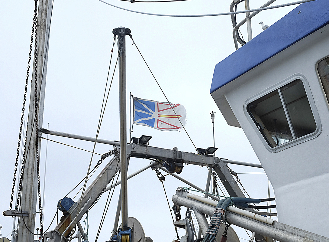 The flag of Newfoundland and Labrador flies from the steel mast of a blue and white fishing boat.